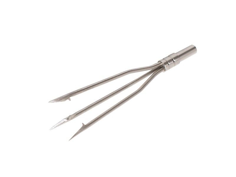 Speartip panicle v1