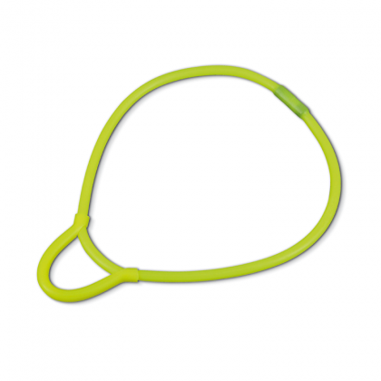 Regulator holder for neck