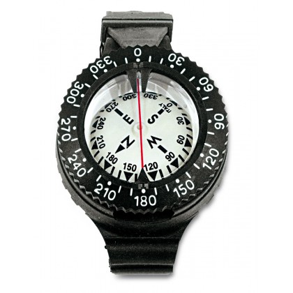 Wrist compass