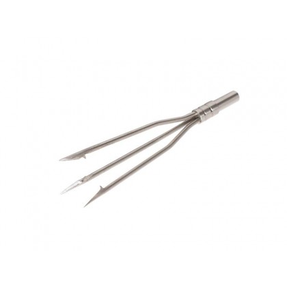 Speartip panicle v1